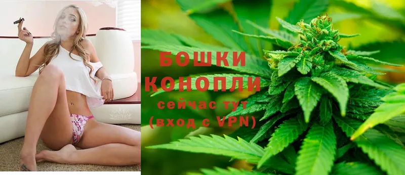 Конопля White Widow  Рославль 